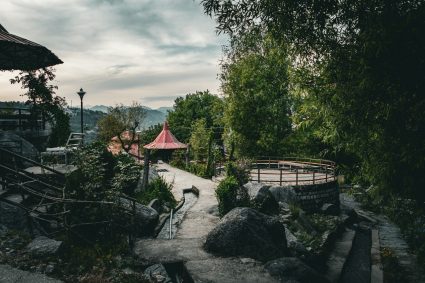 Quelles plantes choisir pour sublimer votre jardin de rocaille ?